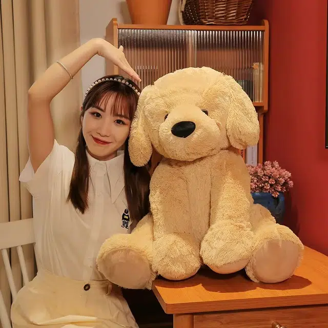 35cm55cm