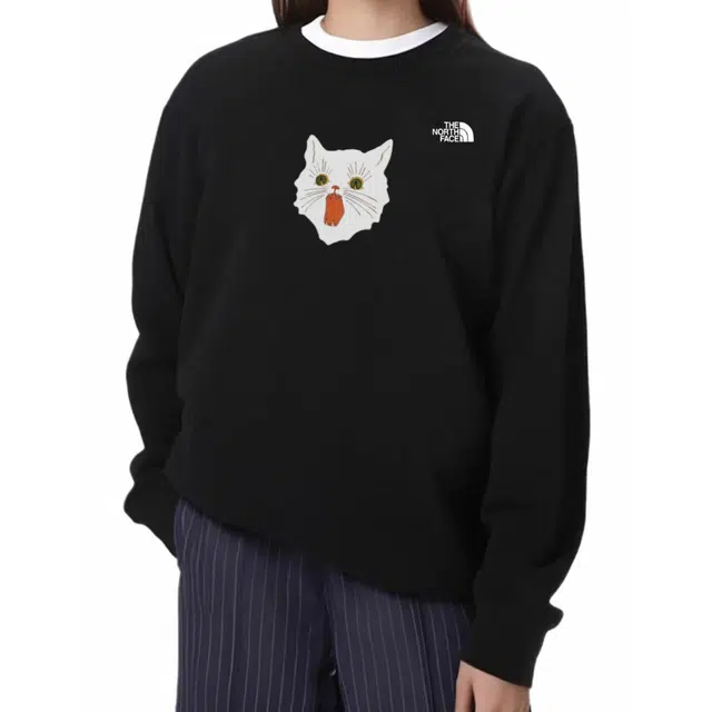 THE NORTH FACE