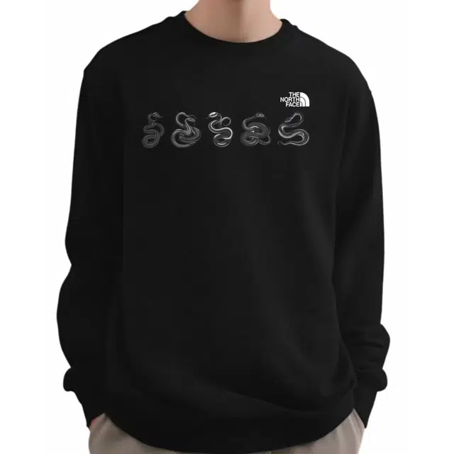 THE NORTH FACE