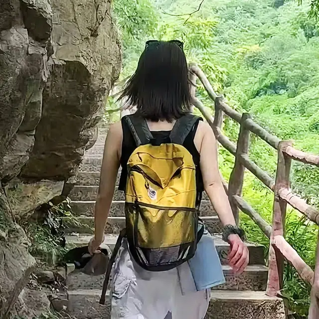 ins