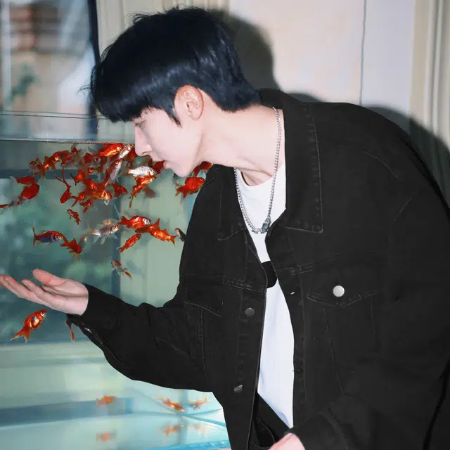 FISHGALAXY