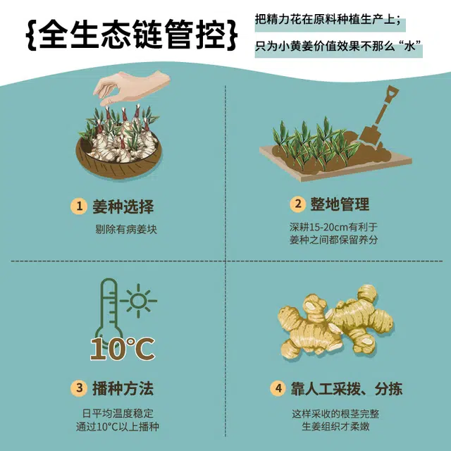 ACCEN 500ml