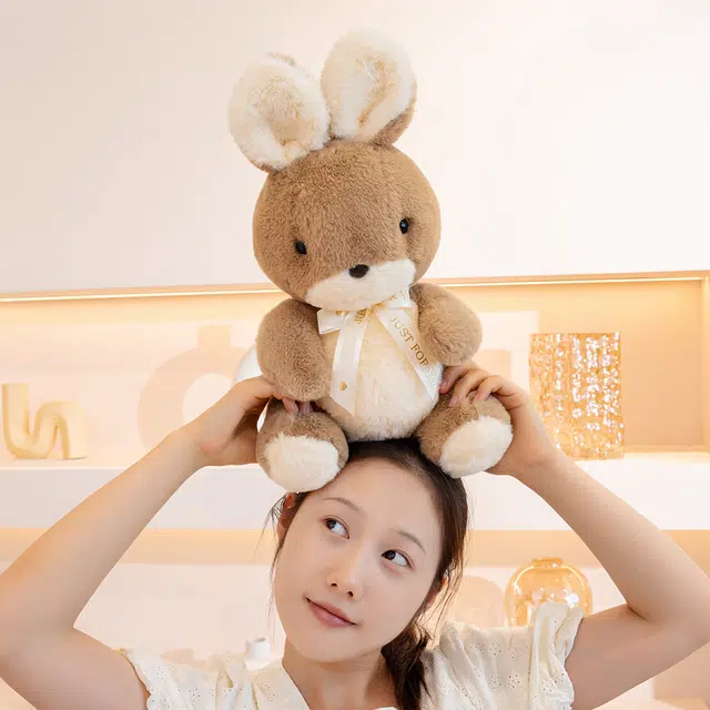 22cm30cm