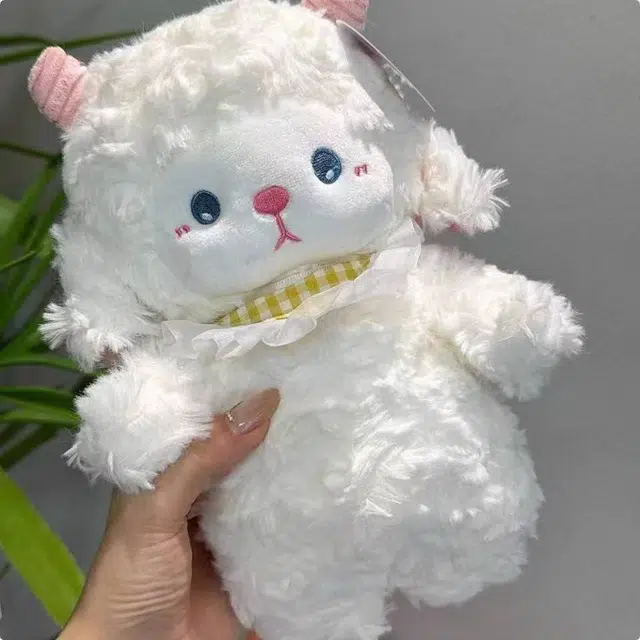 24cm