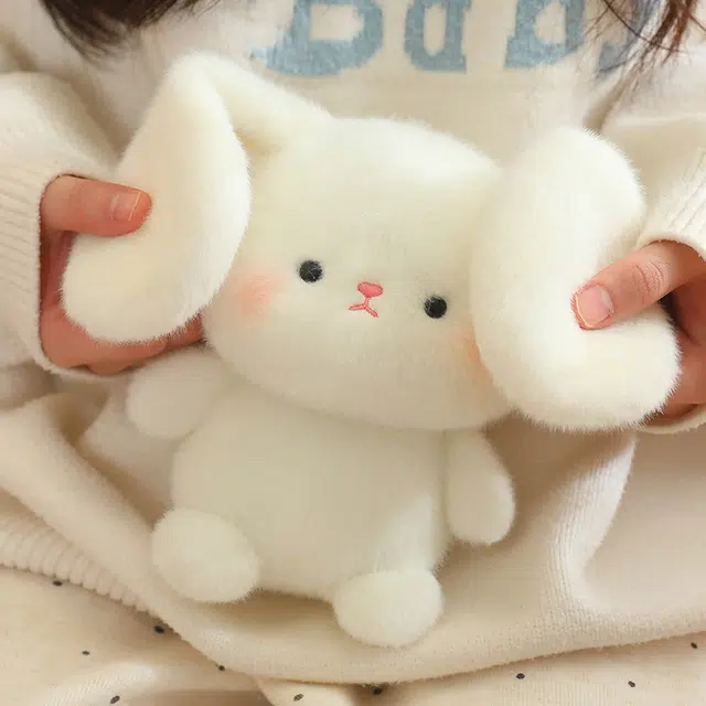 16cm