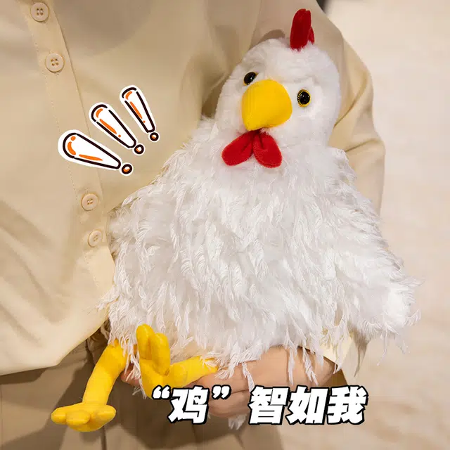 40cm55cm