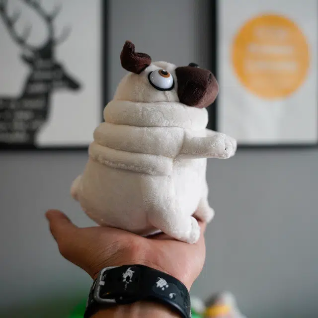 15cm