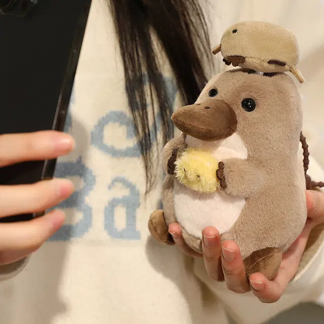 15cm