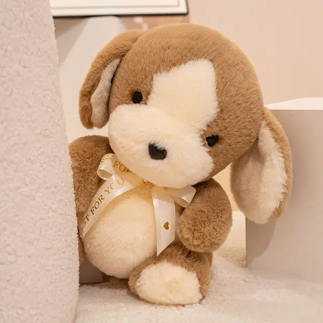 22cm30cm