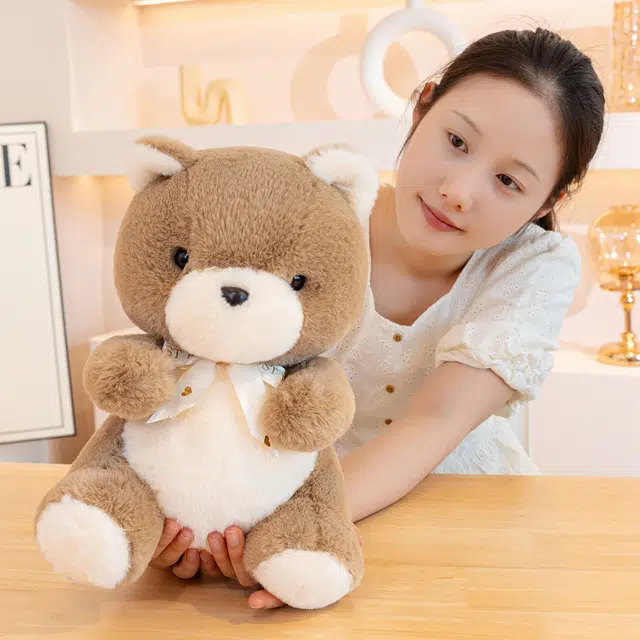 22cm30cm