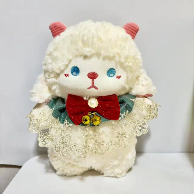 24cm