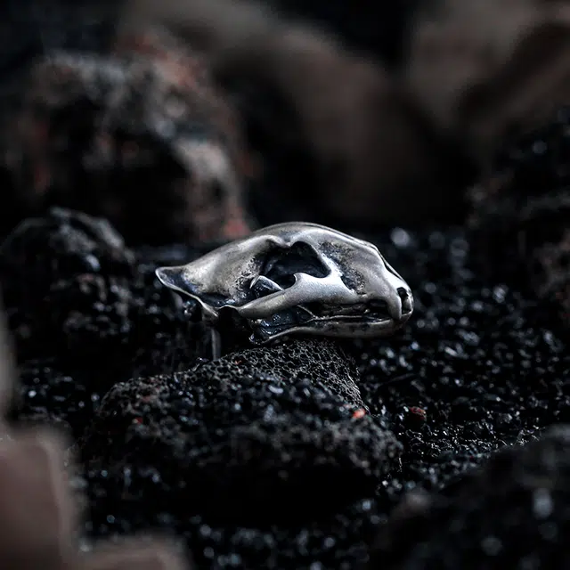 GUXI Dark World 925
