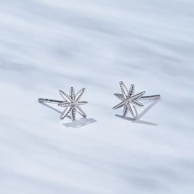 弗风树 欧美简约设计 时尚高级感 八芒星 铂金 耳钉 女款