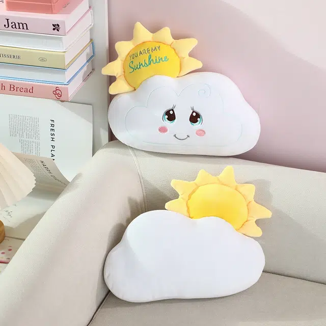 22cm30cm