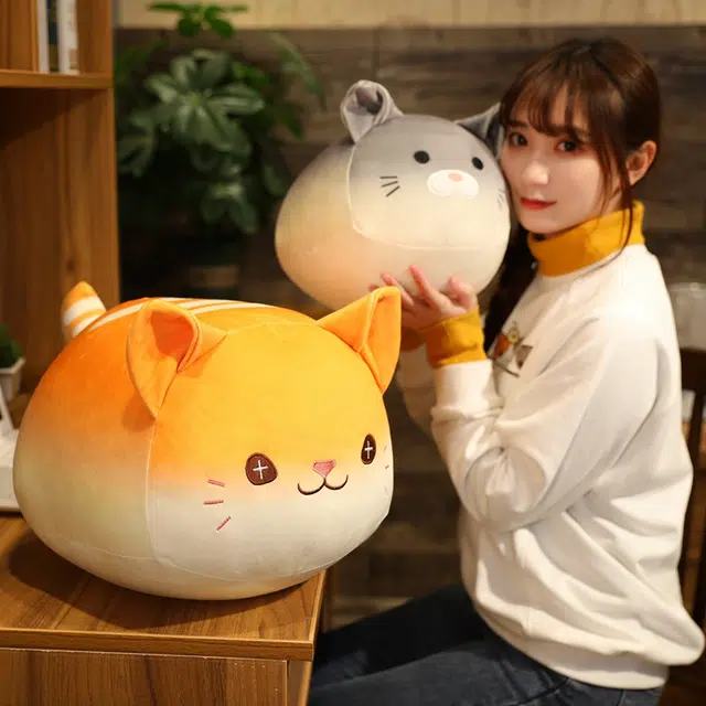 30cm40cm