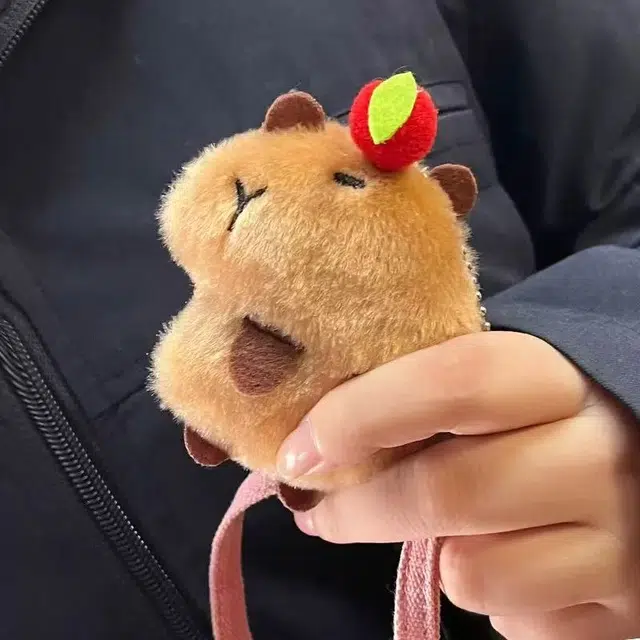10cm