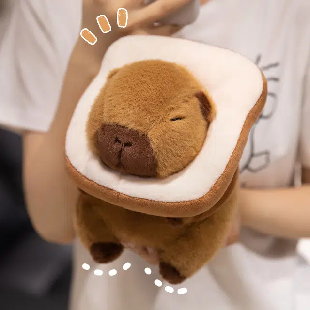 22cm