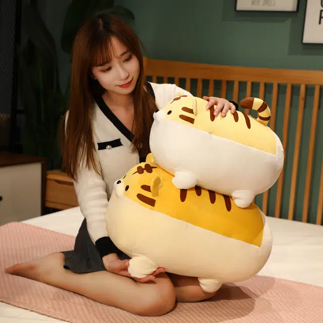 50cm40cm