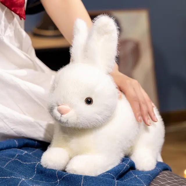 21cm