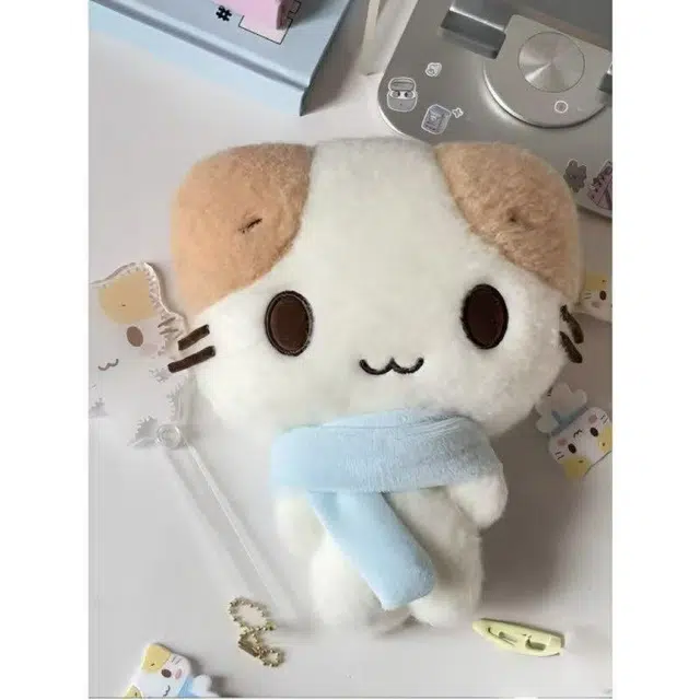 15cm
