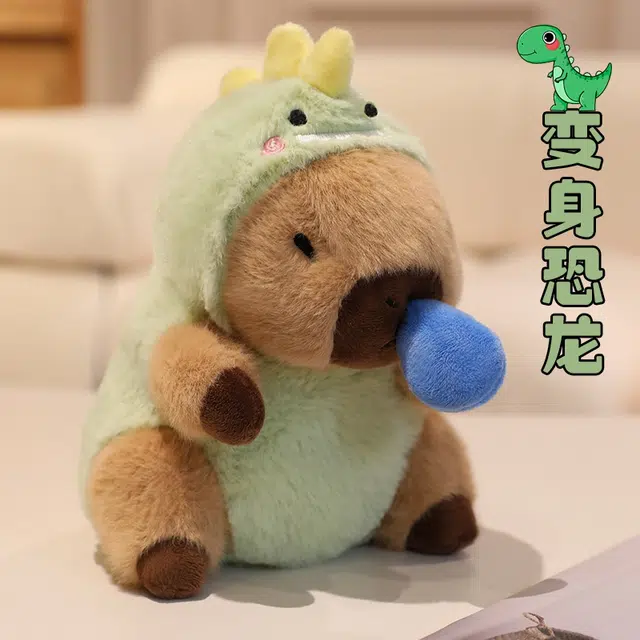 20cm