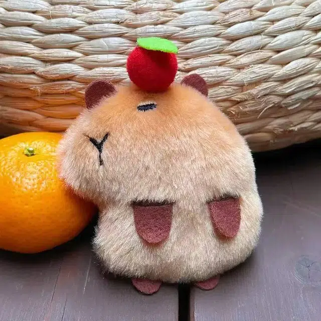 10cm