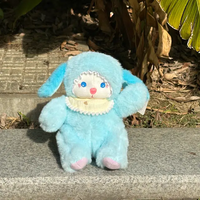 23cm