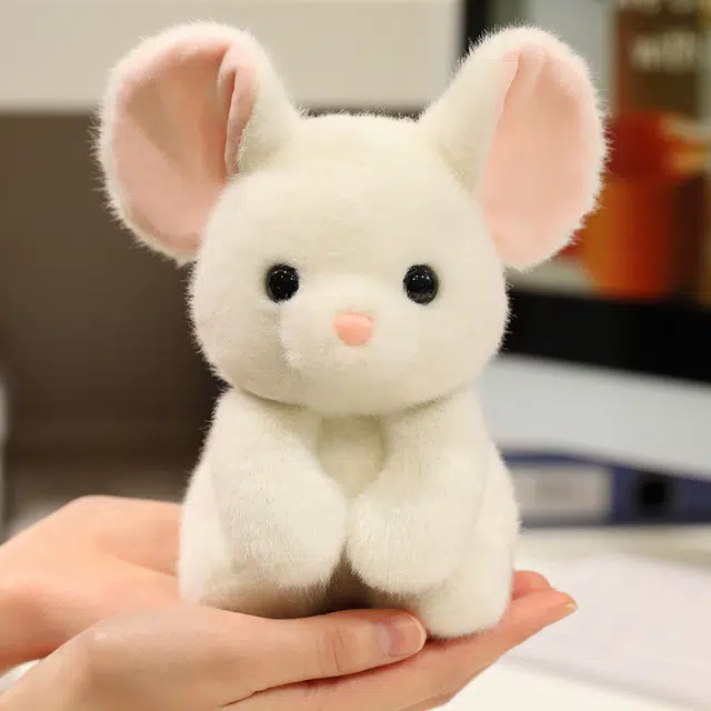 15cm