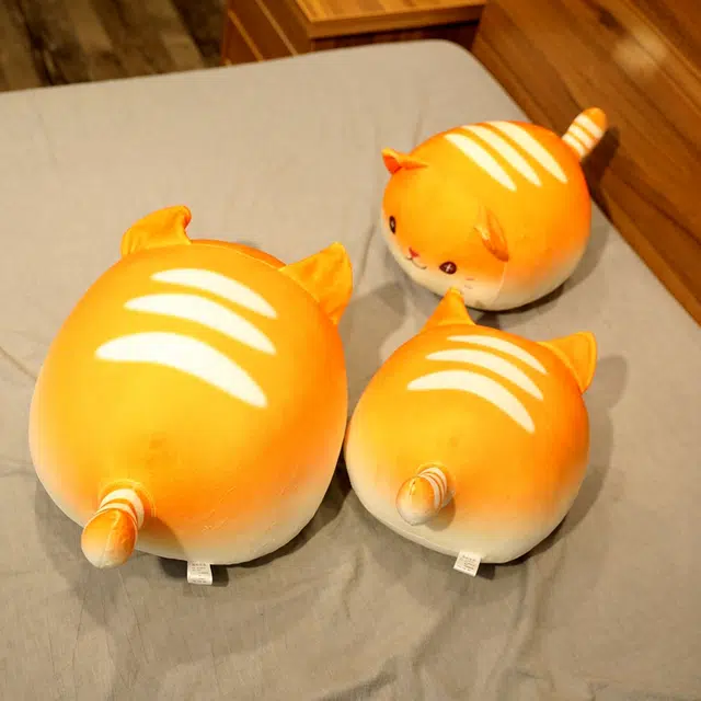 30cm40cm