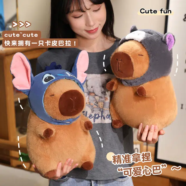 22cm32cm