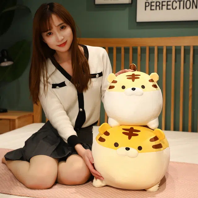 50cm40cm