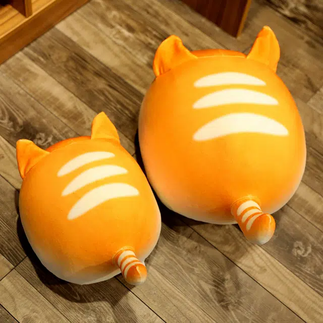 30cm40cm