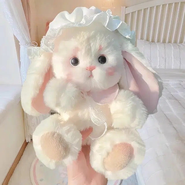 25cm