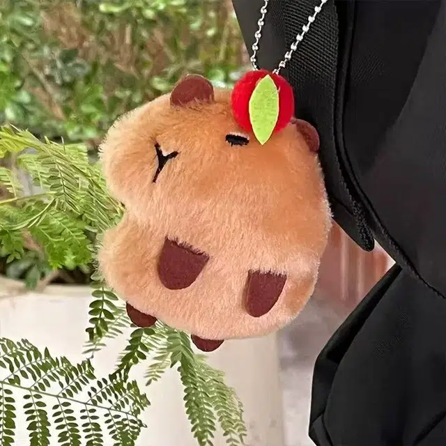 10cm