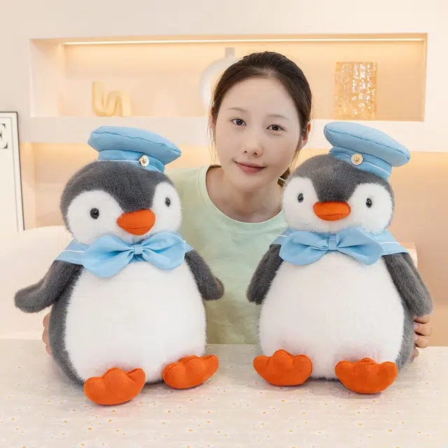 25cm35cm