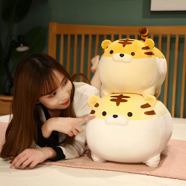 50cm40cm