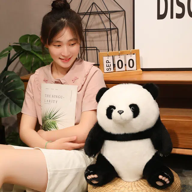 45cm60cm
