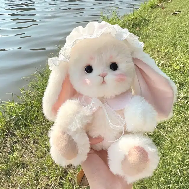 25cm