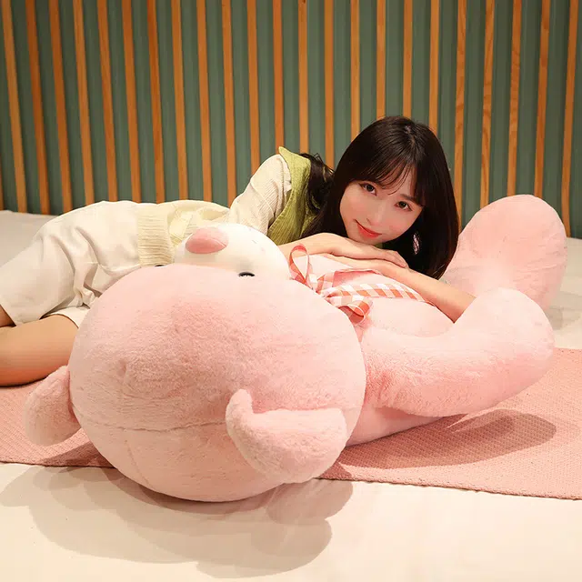80cm100cm120cm135cm