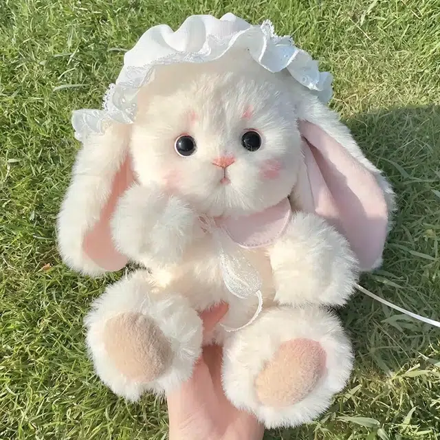 25cm