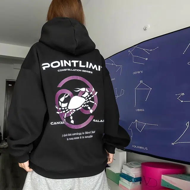 POINTLIMIT Logo