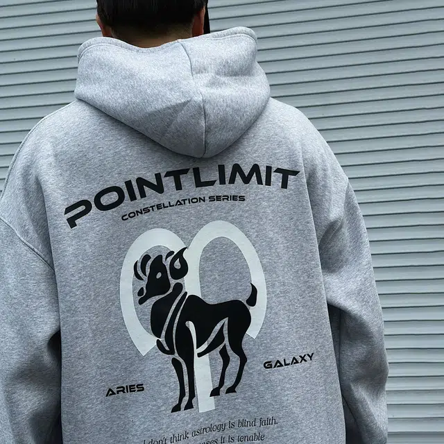 POINTLIMIT Logo