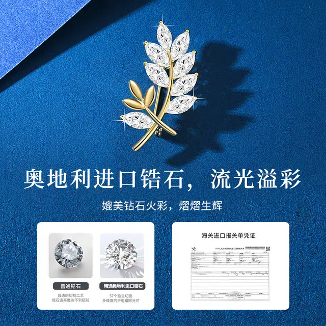 匆匆那年 高档礼盒套装 大衣精致别针 生辰端礼 轻奢小众设计 贝母 胸针 女款
