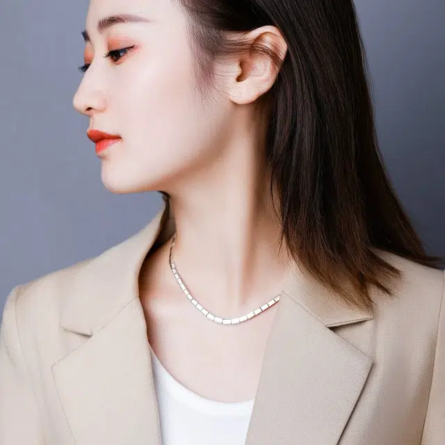 ins S925