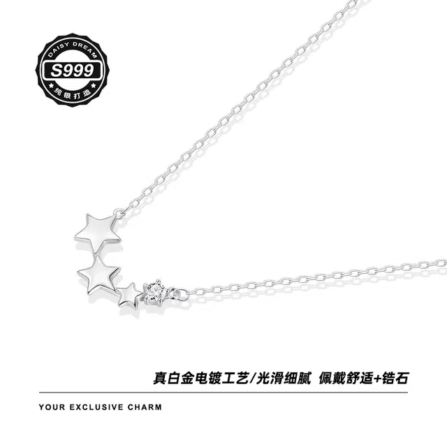 S999 LELC ins2025