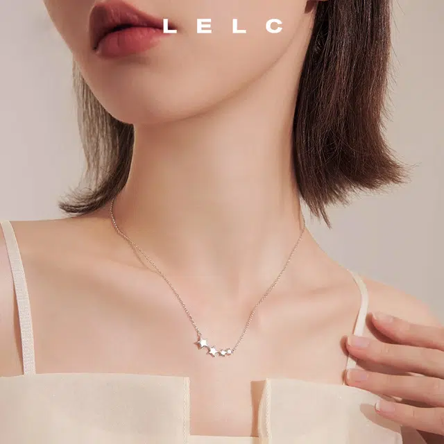S999 LELC ins2025