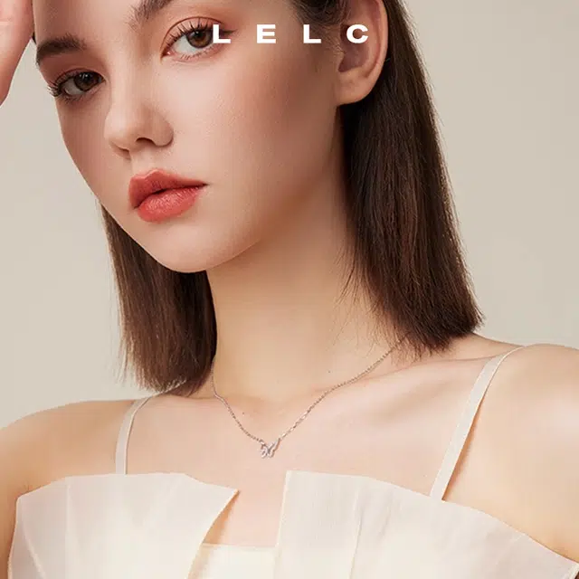 S999 LELC ins