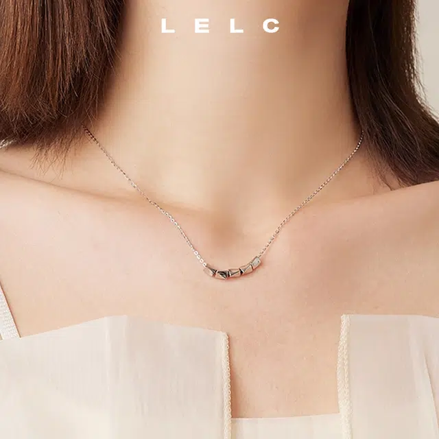 LELC ins2025 999