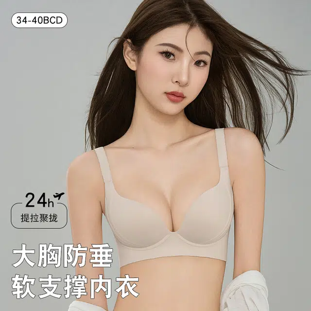 戴维诗 大胸显小胸聚拢提拉防外扩下垂收副乳调整型文胸 女款