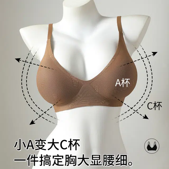 戴维诗 外扩小胸显大固定杯软支撑文胸 女款